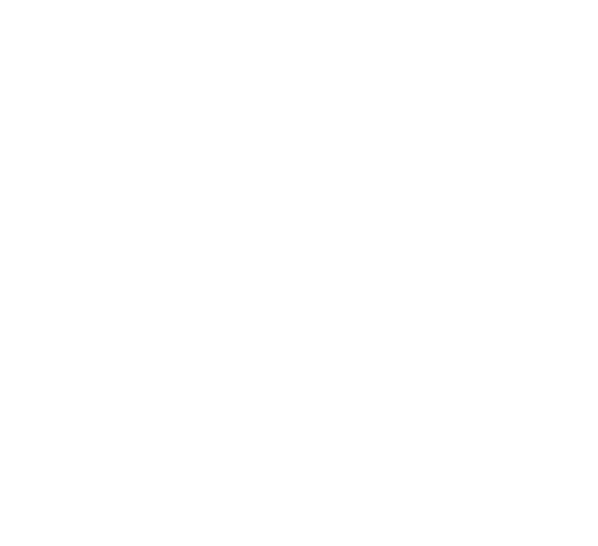 SAInt Logo